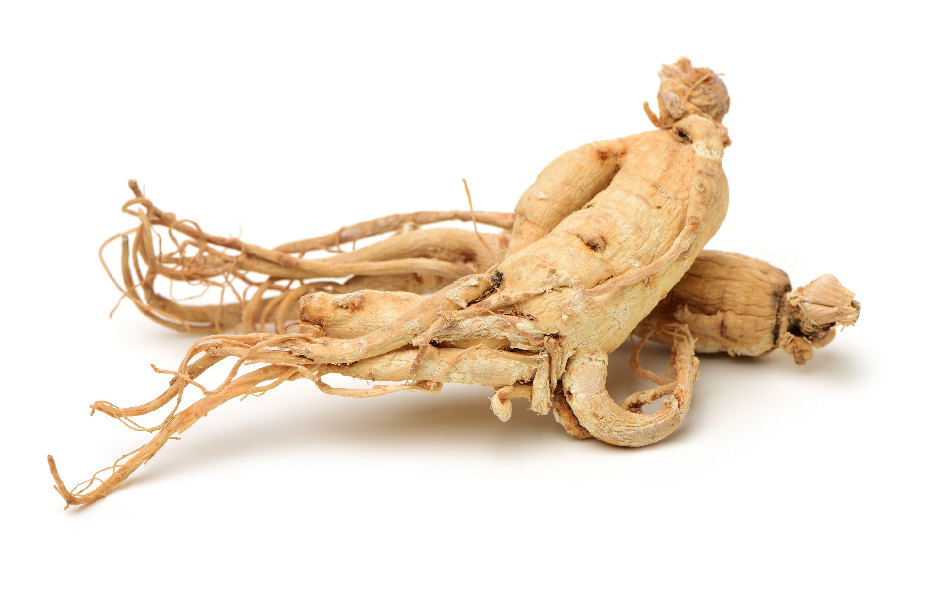 Panax Ginseng женьшень